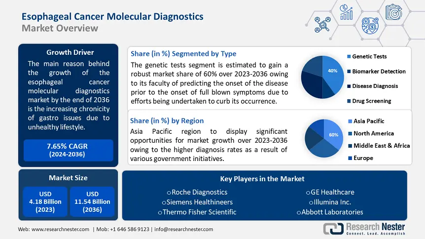 Esophageal Cancer Molecular Diagnostics Market Overview